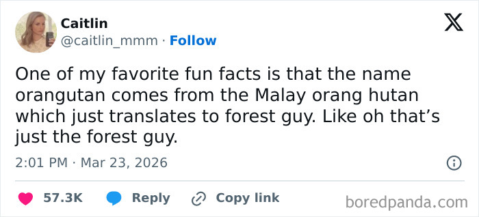 Wait, People Actually Posted These Funny March Tweets?!