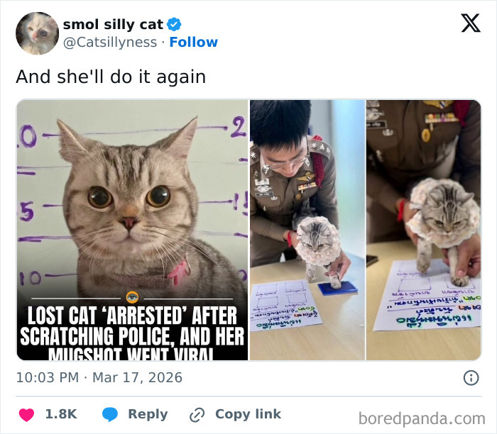 Wait, People Actually Posted These Funny March Tweets?!