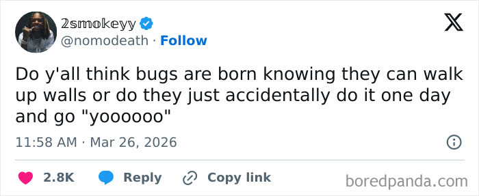 Wait, People Actually Posted These Funny March Tweets?!