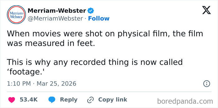 Wait, People Actually Posted These Funny March Tweets?!