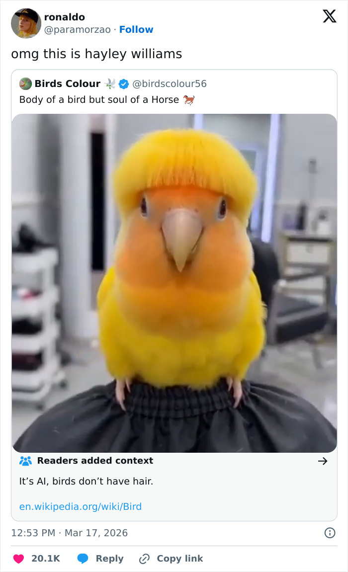 Wait, People Actually Posted These Funny March Tweets?!