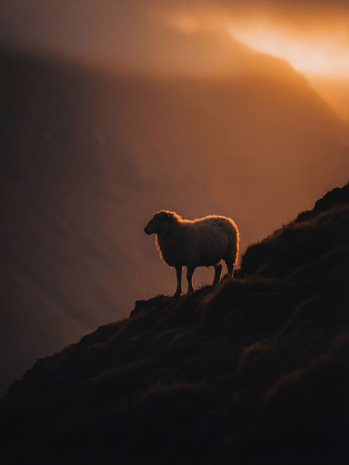 Wait, This AI Made Nature Look THIS Real? (40 Pics of Mind-Blowing Scenes)