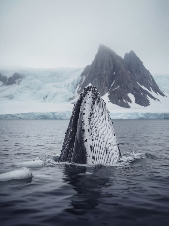 Wait, This AI Made Nature Look THIS Real? (40 Pics of Mind-Blowing Scenes)