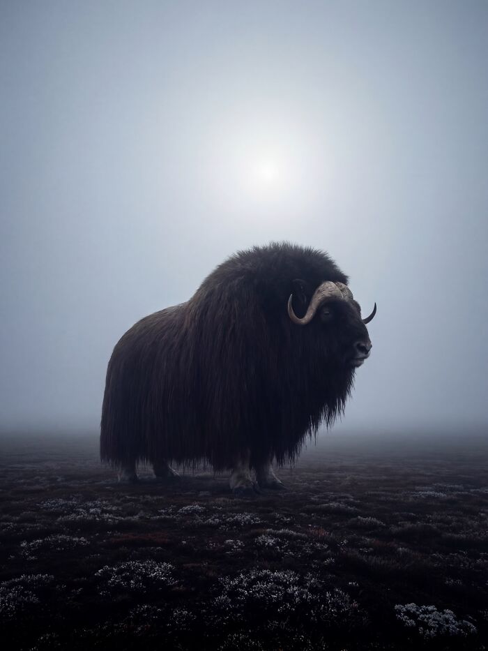 Wait, This AI Made Nature Look THIS Real? (40 Pics of Mind-Blowing Scenes)