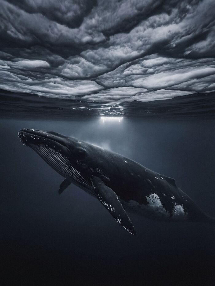 Wait, This AI Made Nature Look THIS Real? (40 Pics of Mind-Blowing Scenes)