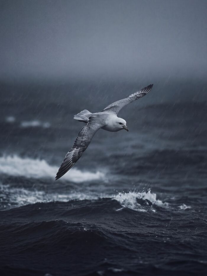 Wait, This AI Made Nature Look THIS Real? (40 Pics of Mind-Blowing Scenes)