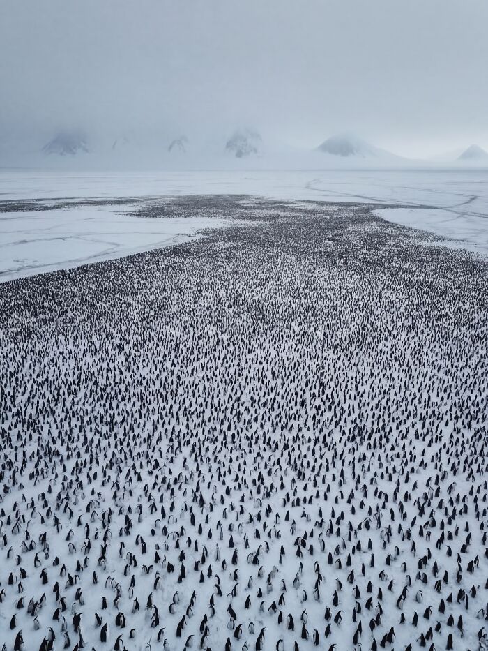 Wait, This AI Made Nature Look THIS Real? (40 Pics of Mind-Blowing Scenes)