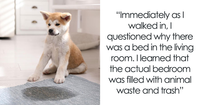 Wait, People Live Like This? 33 Home Horror Stories That’ll Make You Cringe!