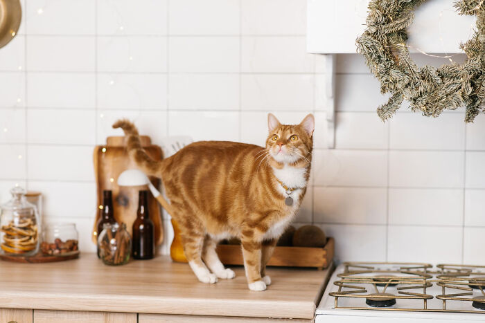 Wait, People Live Like This? 33 Home Horror Stories That’ll Make You Cringe!