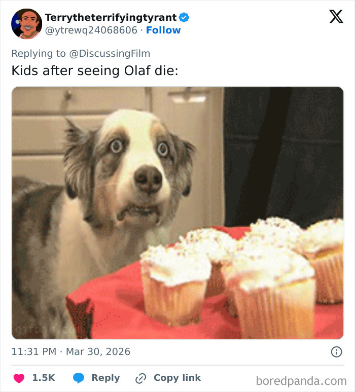 Picture This: Olaf’s Great Fall