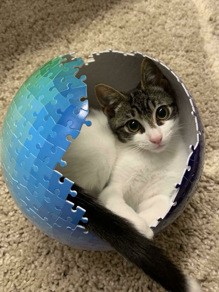 Bathroom Break? Nope, Found This Instead