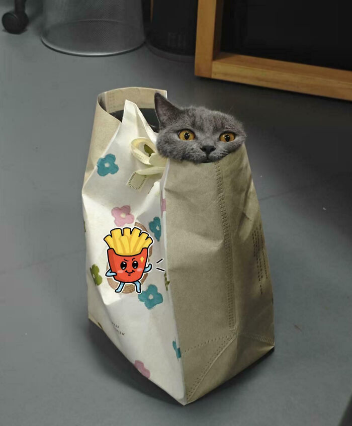 Ordered Takeout, Got This Surprise Instead