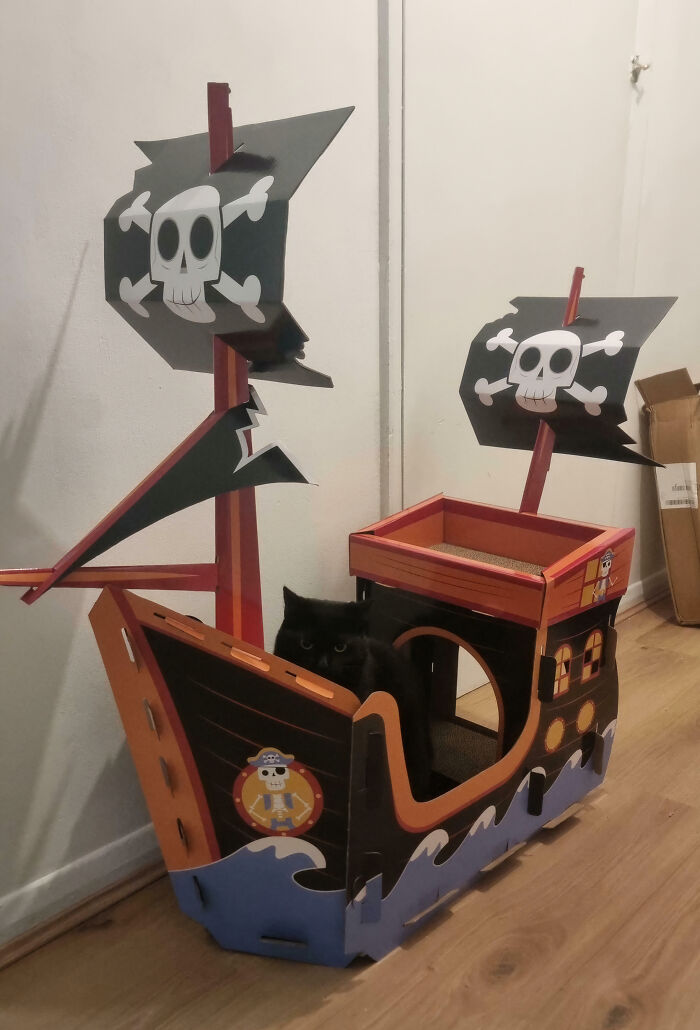 Built Her a Ship, Still Somehow Not Impressed