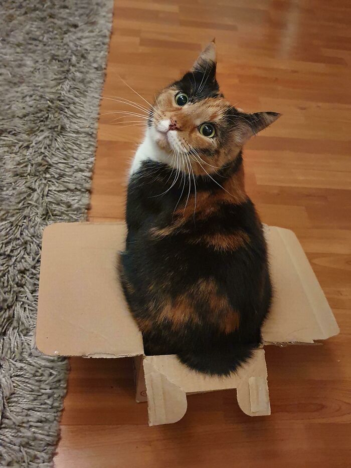 Perfect Box, Perfect Fit