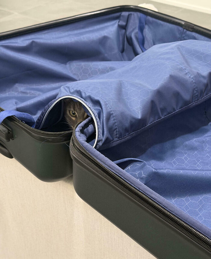 I’m Going With You... Where? Doesn’t Matter!