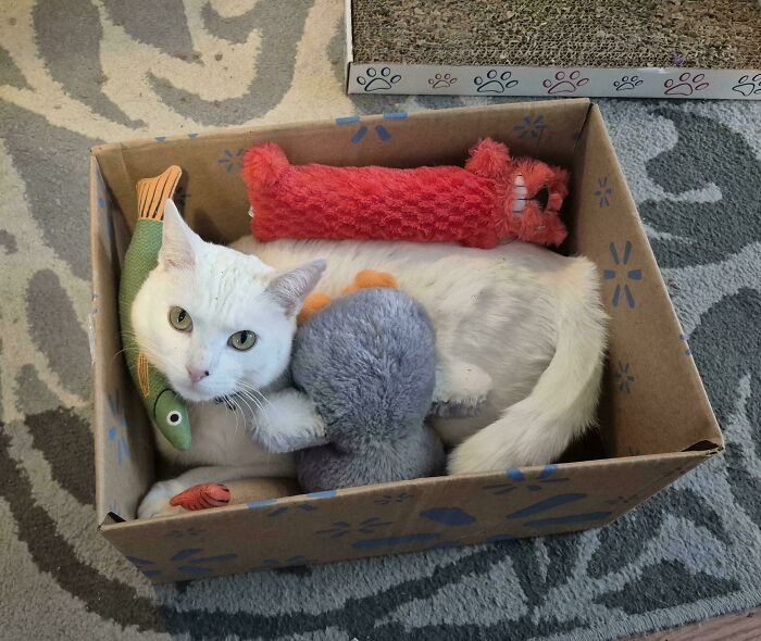 Snowpocalypse Means Indoor Fun Time