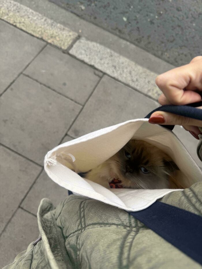 Hope This Isn’t a Crime—He Insisted