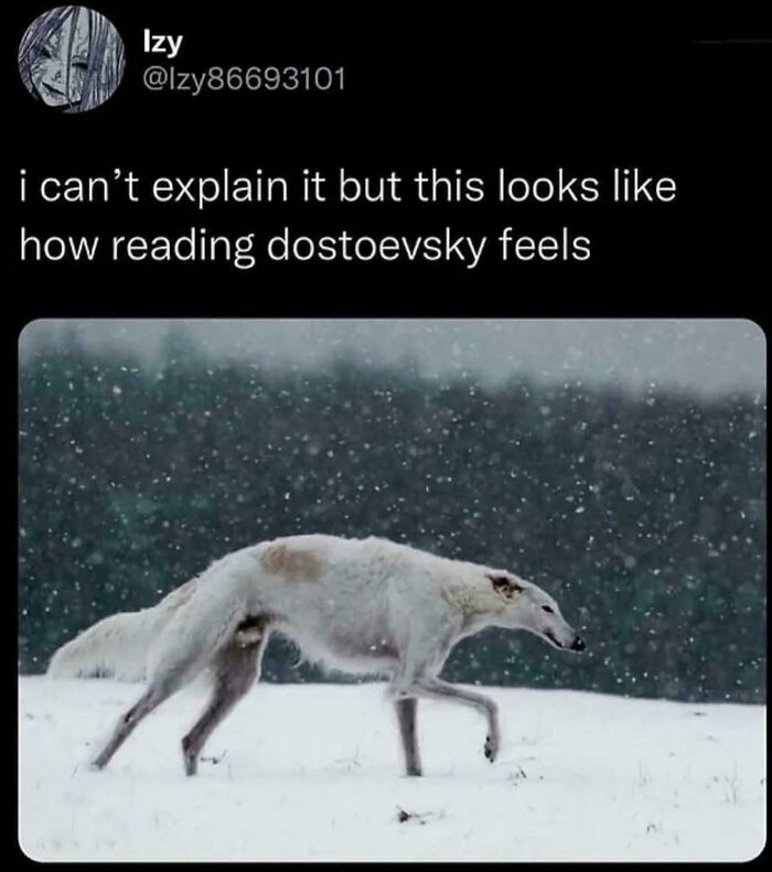 Snowy Dostoevsky Vibes