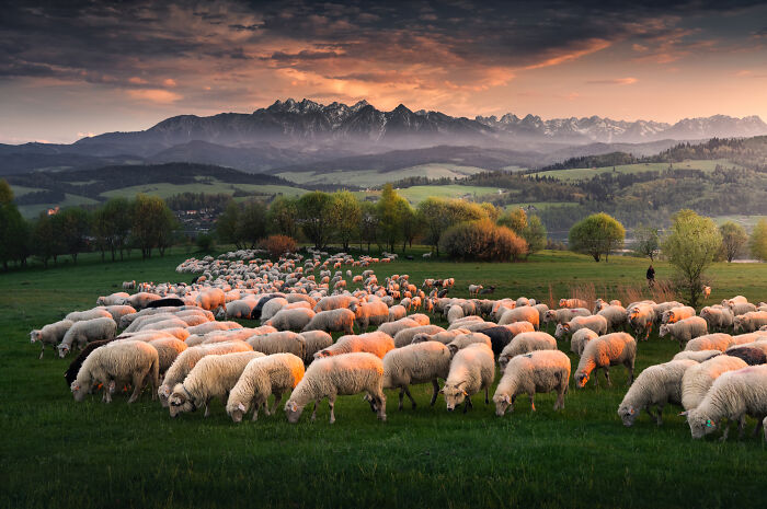 43 Epic Mountain Shots That Will Make You Want to Drop Everything and Go Explore Poland