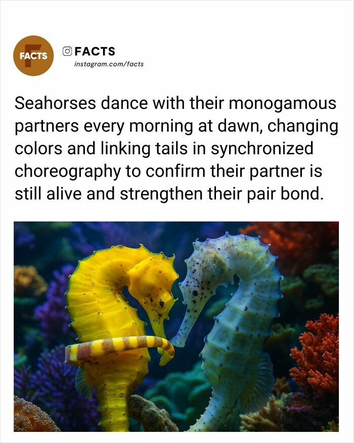Wait, They Actually Ranked That?! 65 Totally Mind-Blowing Facts To Brighten Your Day