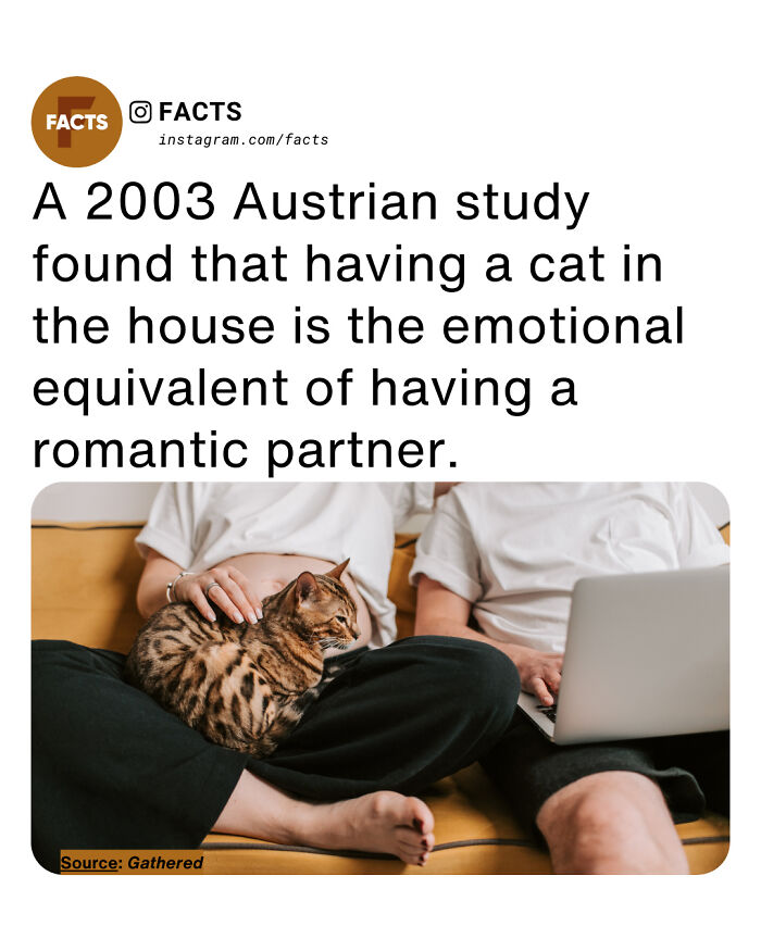 Wait, They Actually Ranked That?! 65 Totally Mind-Blowing Facts To Brighten Your Day