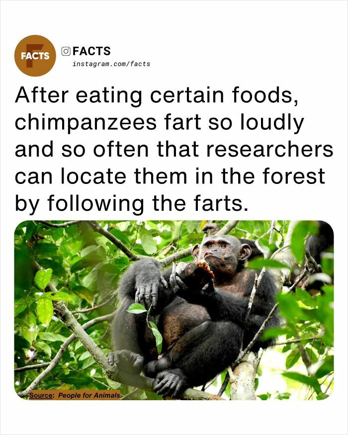 Wait, They Actually Ranked That?! 65 Totally Mind-Blowing Facts To Brighten Your Day
