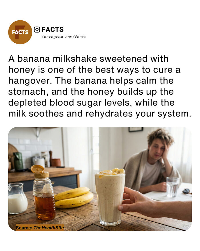 Wait, They Actually Ranked That?! 65 Totally Mind-Blowing Facts To Brighten Your Day