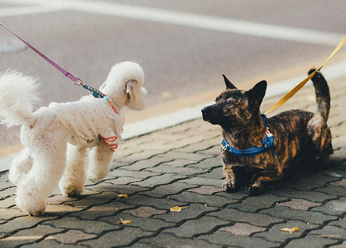 We Asked: What’s the Weirdest Thing About New York City That Locals Don’t Even Notice?