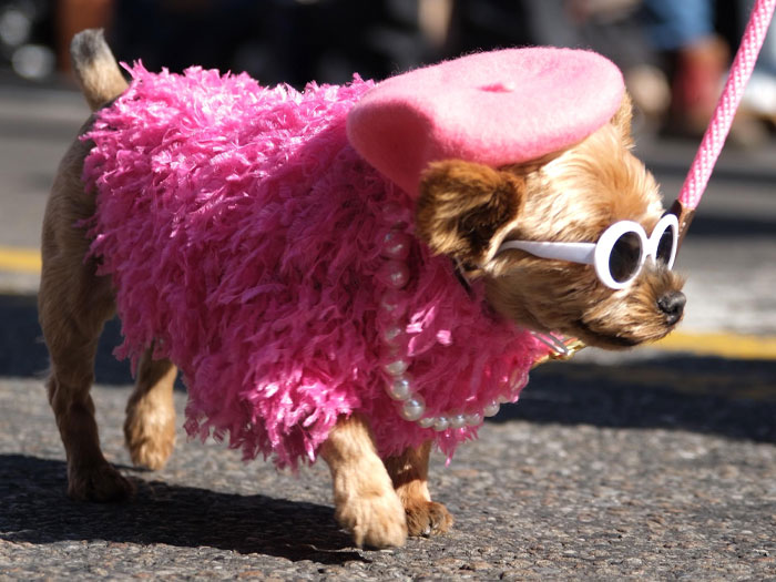 We Asked: What’s the Weirdest Thing About New York City That Locals Don’t Even Notice?