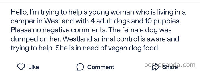 Begging But Only For Vegan Dog Food
