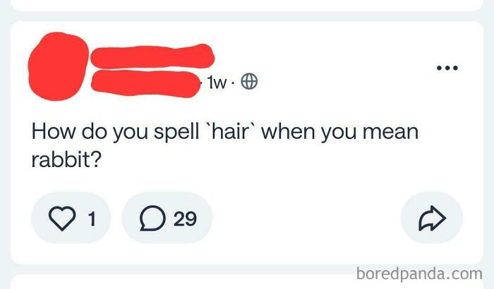 Hair vs Hare? The Battle You Didn’t Expect