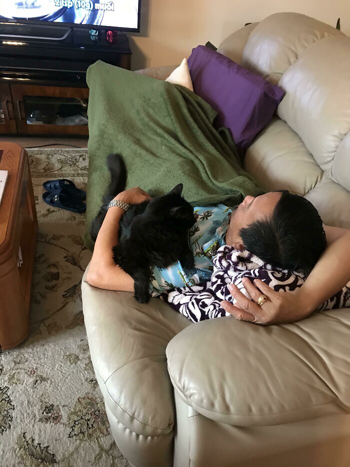 Asian Dad Who Hated Pets Sent This Photo Outta Nowhere