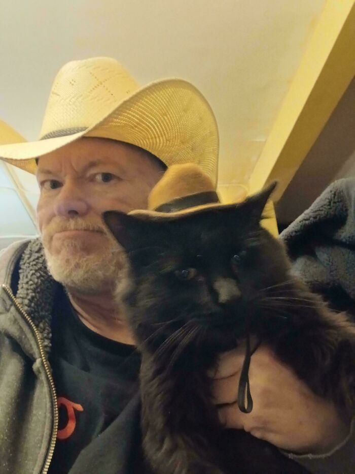 Grumpy Old Guy Tricked Into Cat Adoption Who Now Loves Him