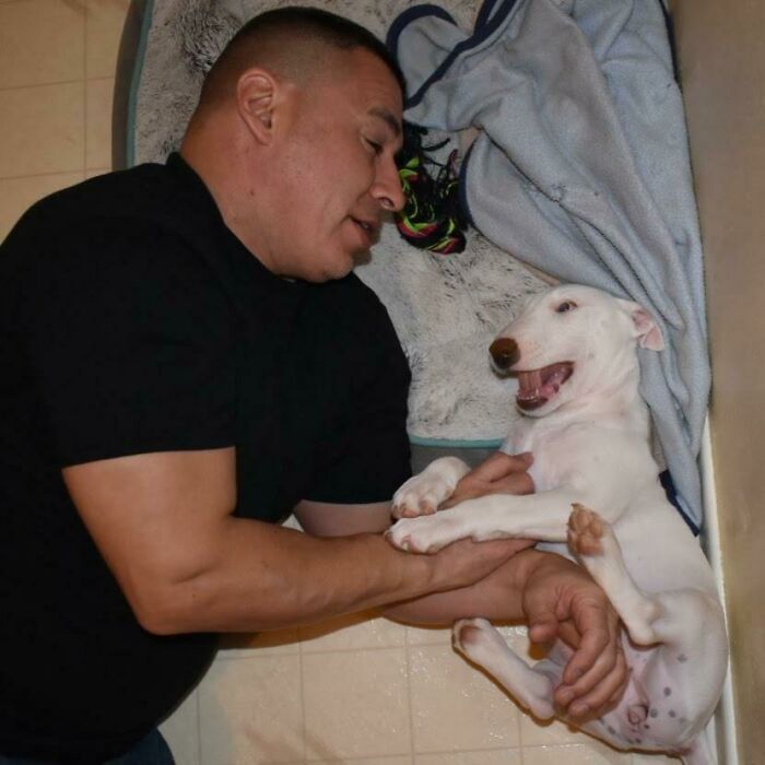 Hubby Missed His 'Baby' More Than The Family After 2 Weeks Apart