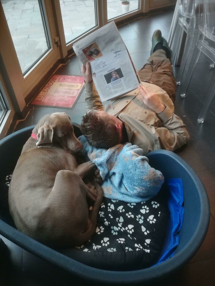 Dad Reading The News With His ‘Stupid’ Dog
