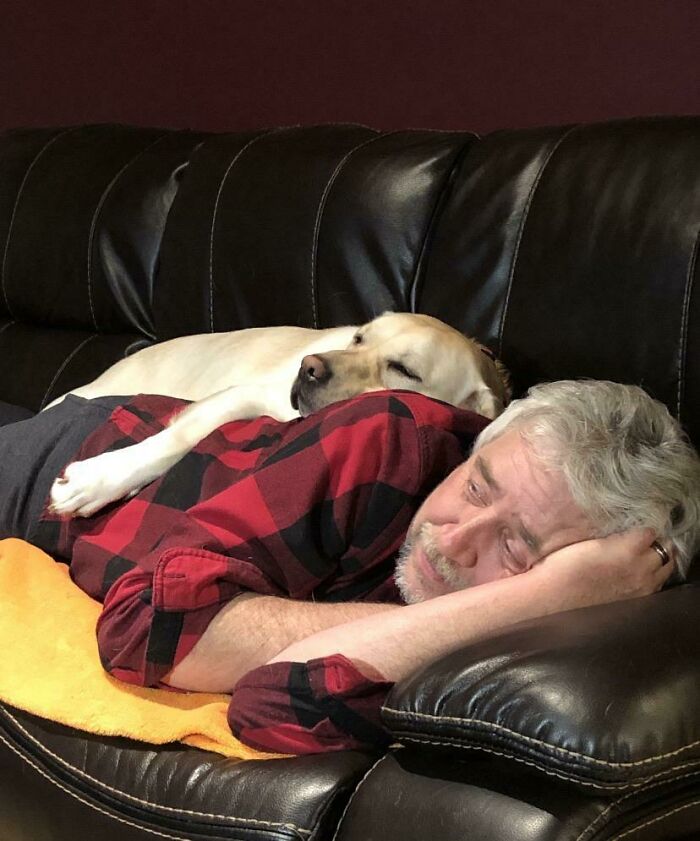 Dad Said No To Another Dog, But Then...