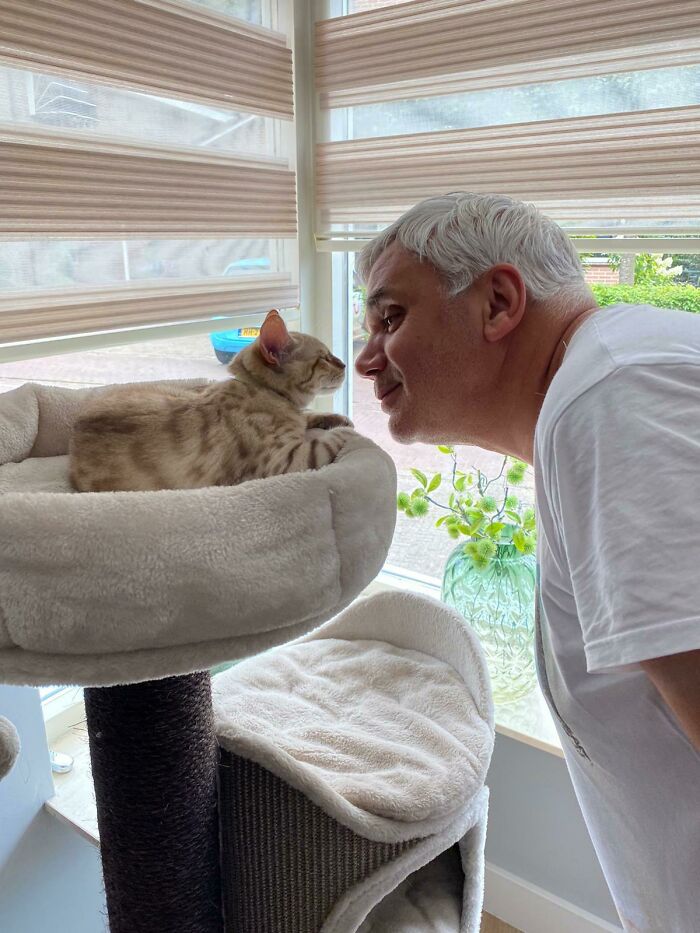 Dad Who Hated Cats Playing With His Own