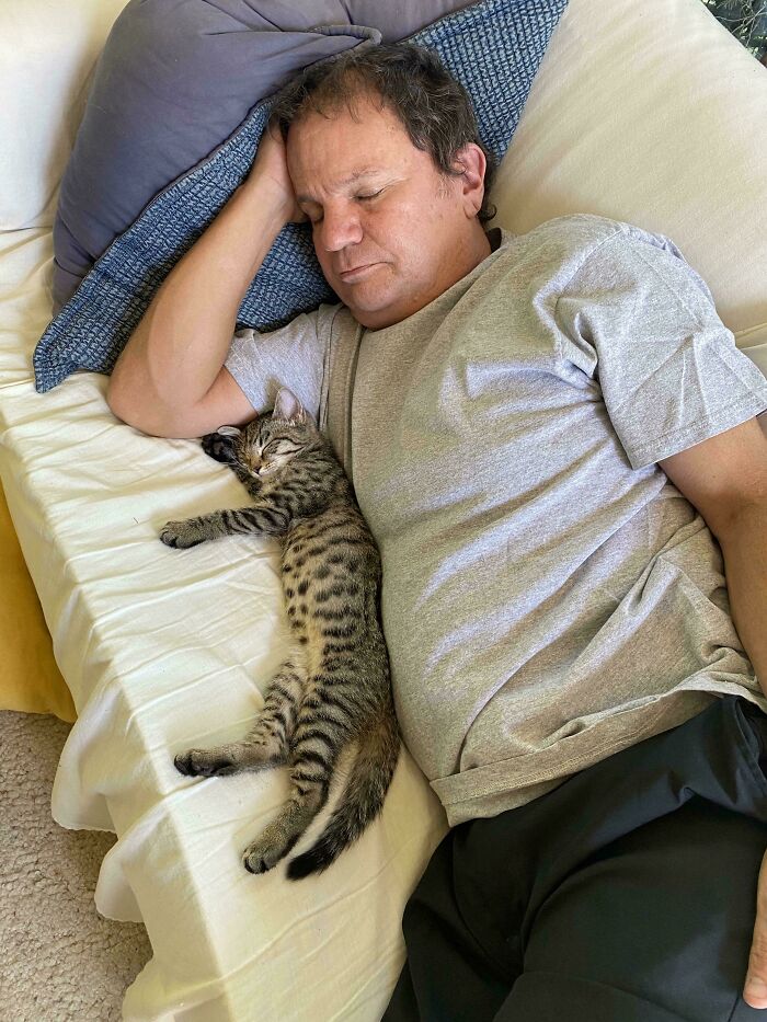 Dad And The ‘Not Ready For A Cat’ Cat