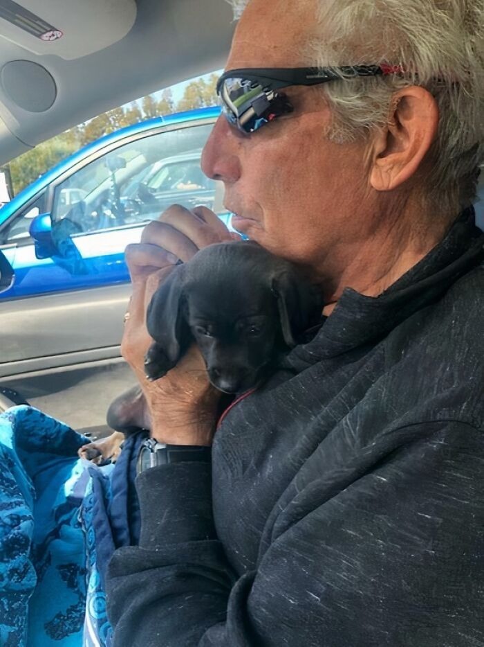 Dad Didn’t Want A Dog. Then Tears At The Shelter Told A Different Story