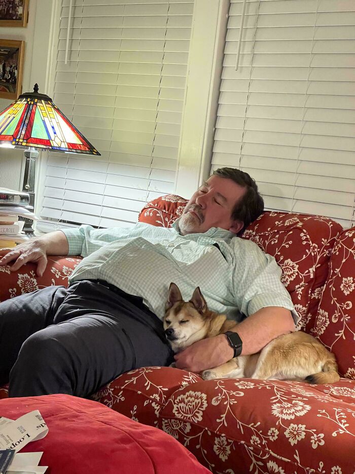 Dad And The Dog He ‘Merely Tolerates’