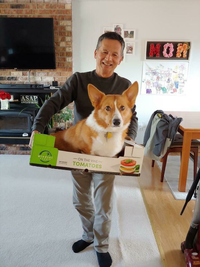 Mailman Dad Who Hates Dogs Gets A Pup Named Charlie