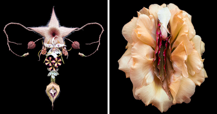 These Flower-Powered Artworks Totally Nail What It Feels Like to Be a Woman (37 Pics)