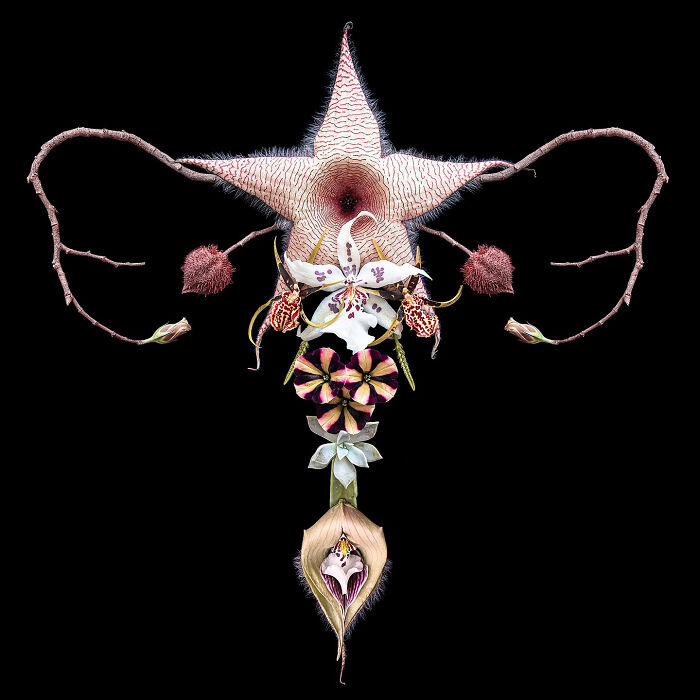 These Flower-Powered Artworks Totally Nail What It Feels Like to Be a Woman (37 Pics)
