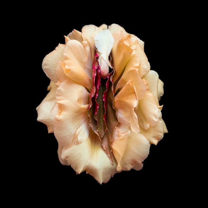 These Flower-Powered Artworks Totally Nail What It Feels Like to Be a Woman (37 Pics)