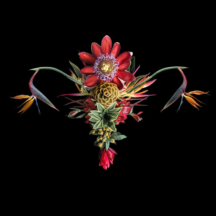 These Flower-Powered Artworks Totally Nail What It Feels Like to Be a Woman (37 Pics)