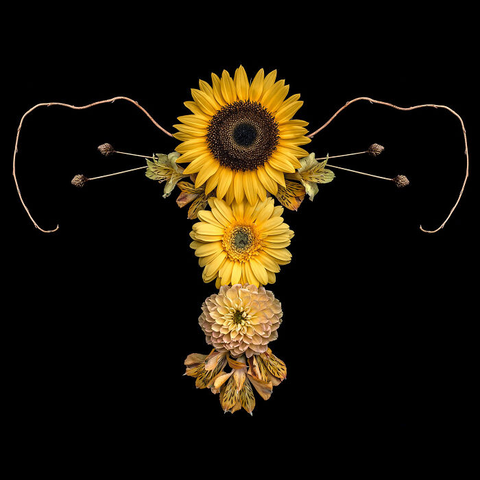 These Flower-Powered Artworks Totally Nail What It Feels Like to Be a Woman (37 Pics)