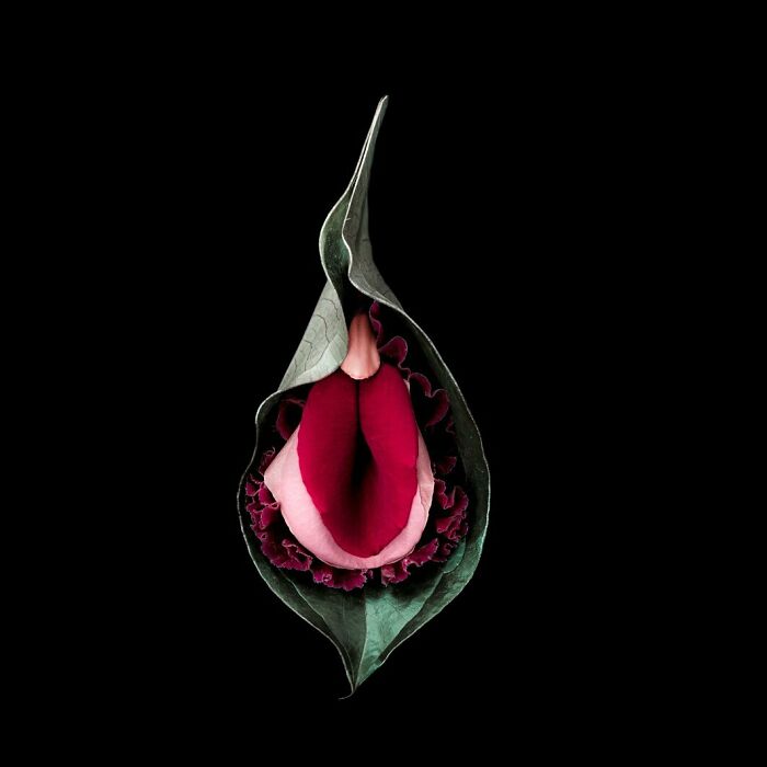 These Flower-Powered Artworks Totally Nail What It Feels Like to Be a Woman (37 Pics)