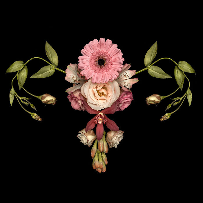 These Flower-Powered Artworks Totally Nail What It Feels Like to Be a Woman (37 Pics)