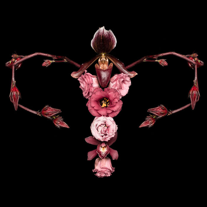 These Flower-Powered Artworks Totally Nail What It Feels Like to Be a Woman (37 Pics)
