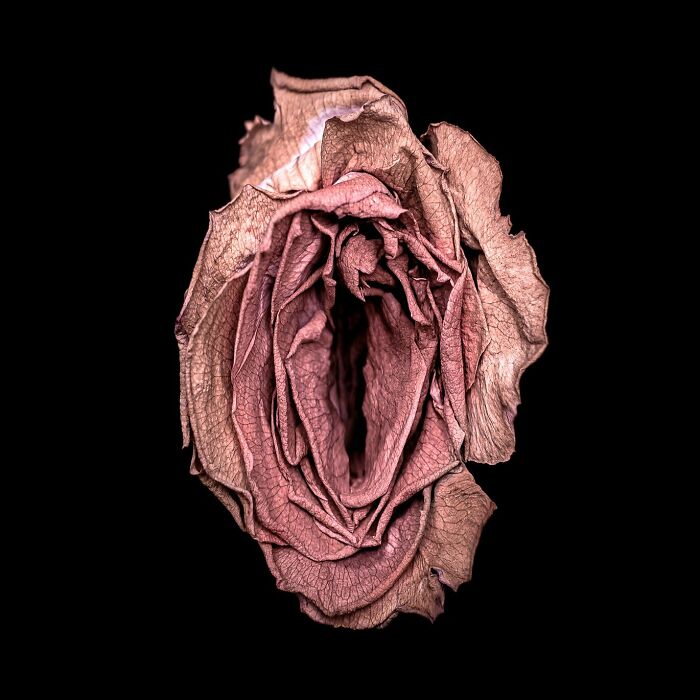 These Flower-Powered Artworks Totally Nail What It Feels Like to Be a Woman (37 Pics)